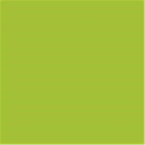 Papier A4 80g maigrün Trophée Colour (intensiv)